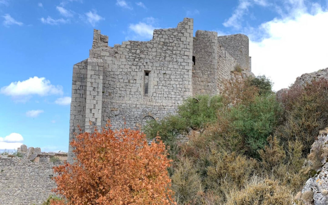 Private Cathar Castles Tour from Carcassonne | Peyrepertuse & Quéribus