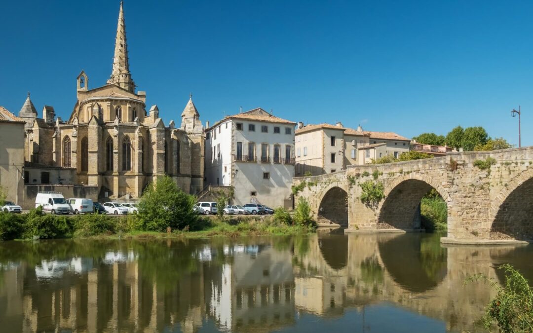 Private Limoux & Malepère Wine Tour from Carcassonne