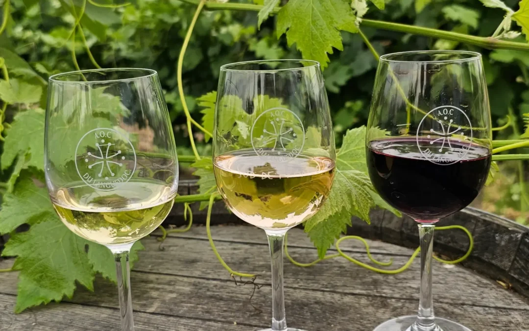 Wine Tasting at Home